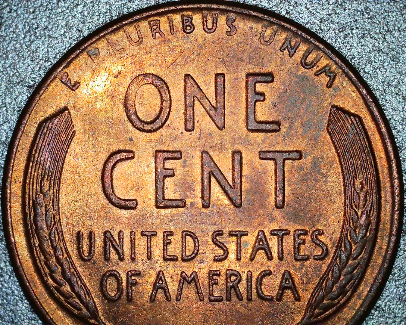 1958D_LWC_MD_Reverse.jpg