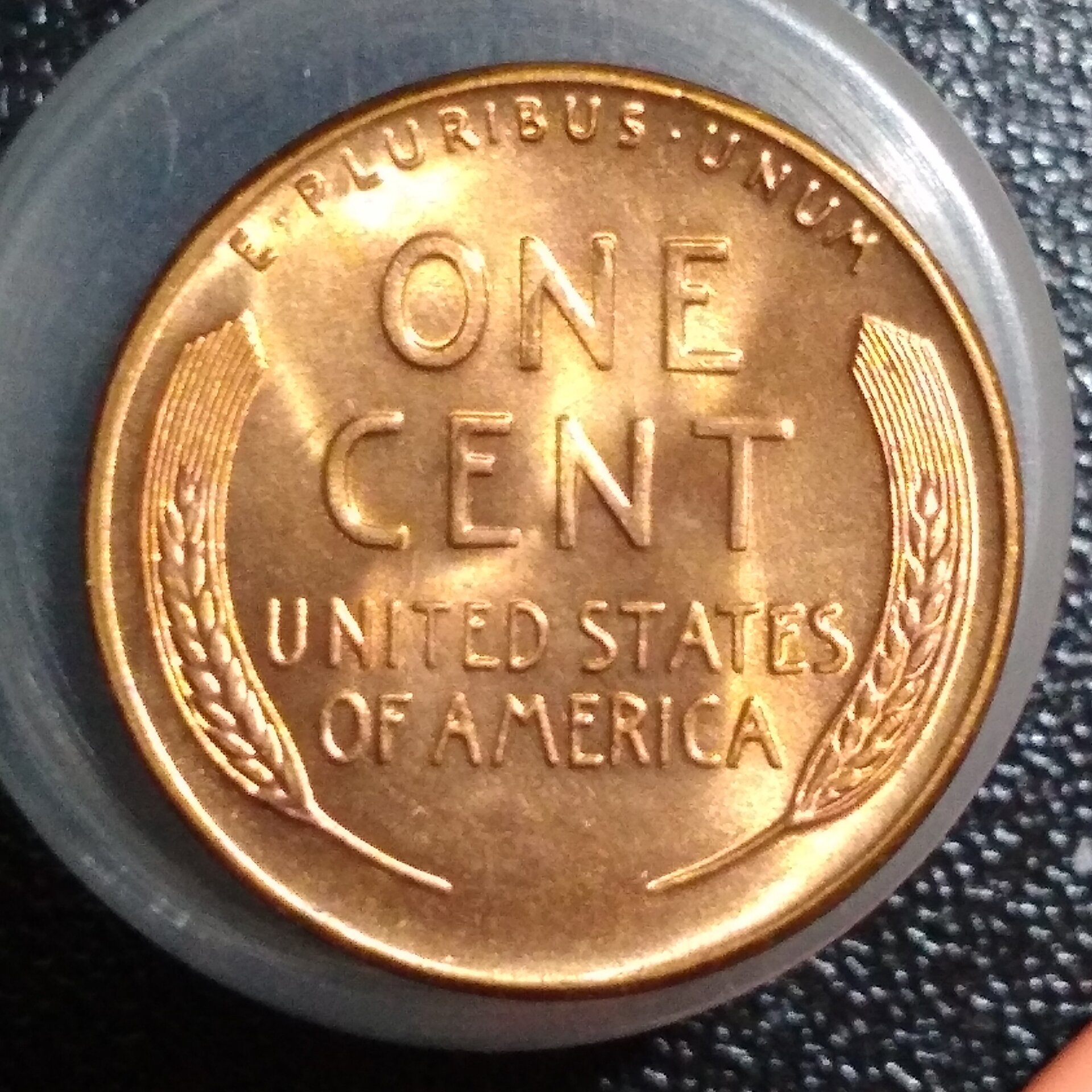 1958LWCrev.jpg