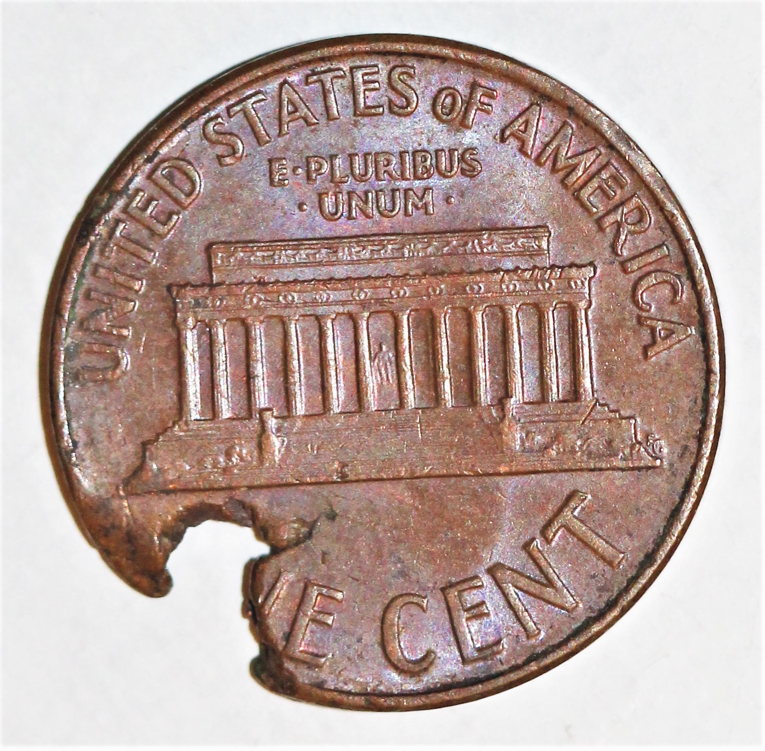 1959 1c ragged clip rev.jpg