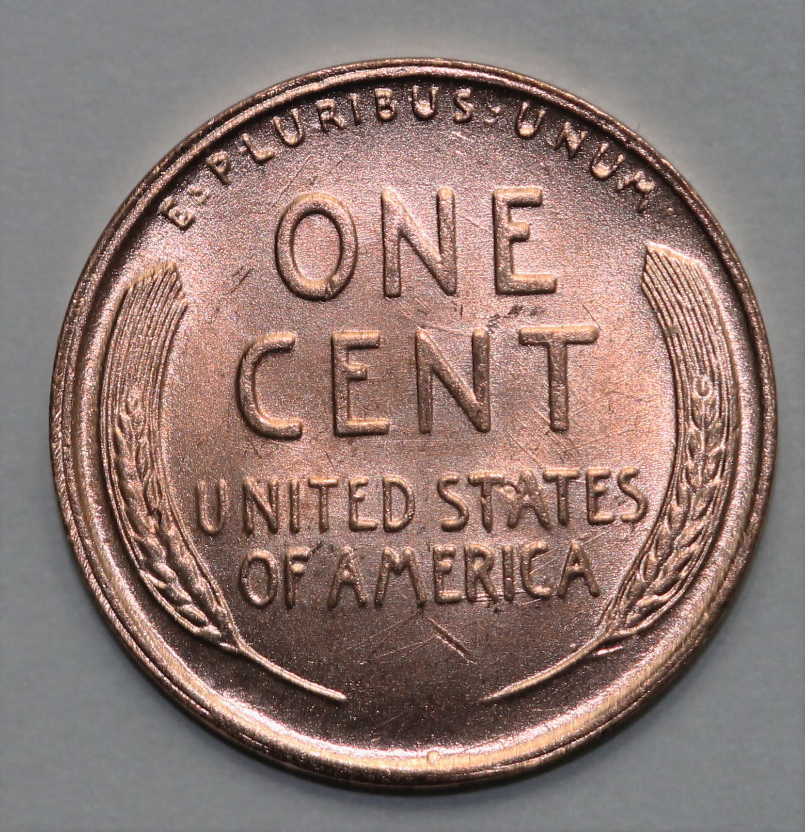 1959 D 1c Wheat Reverse Mule REV.jpg