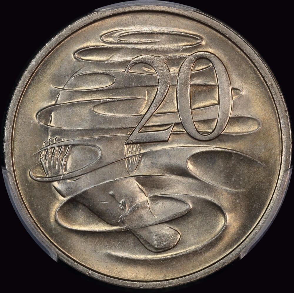 19590.jpg