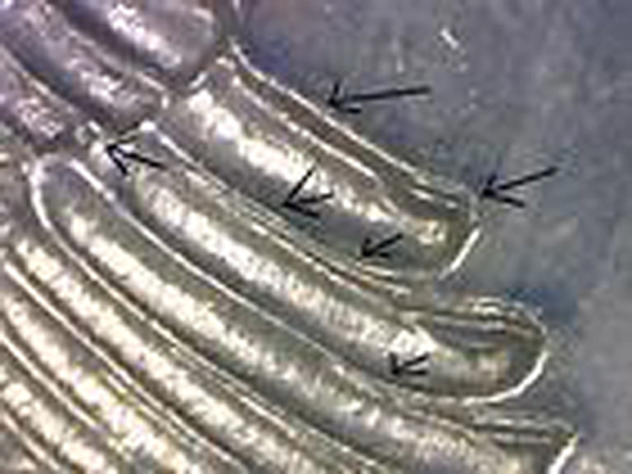 1960 FRANKLIN DOUBLE DIE EAGLE ON REVERSE.jpg