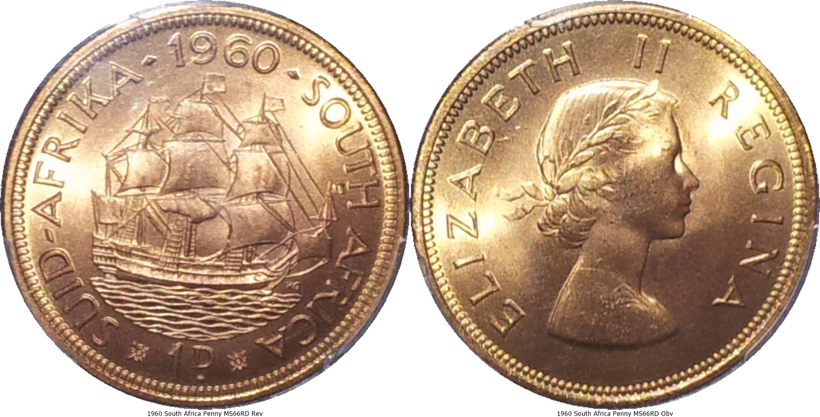 1960 South Africa Penny MS66RD -tile.jpg