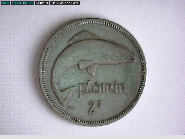 1962 Floirin Irish 2.jpg