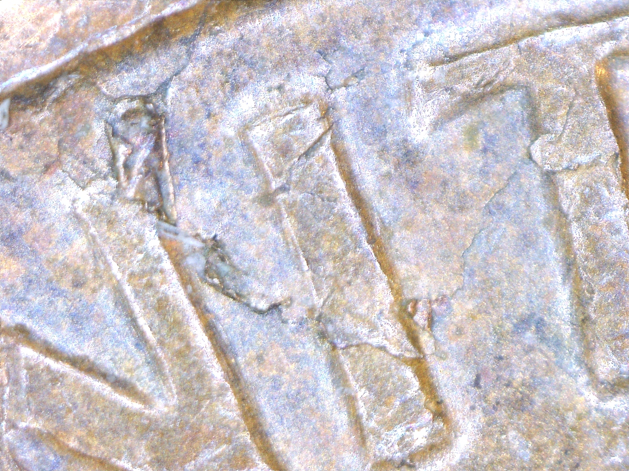 1963 D Lamination (4).jpg