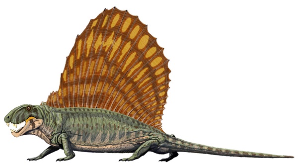 1963WestVaArtDimetrodon.jpg