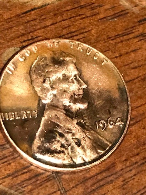 1964 1.jpg