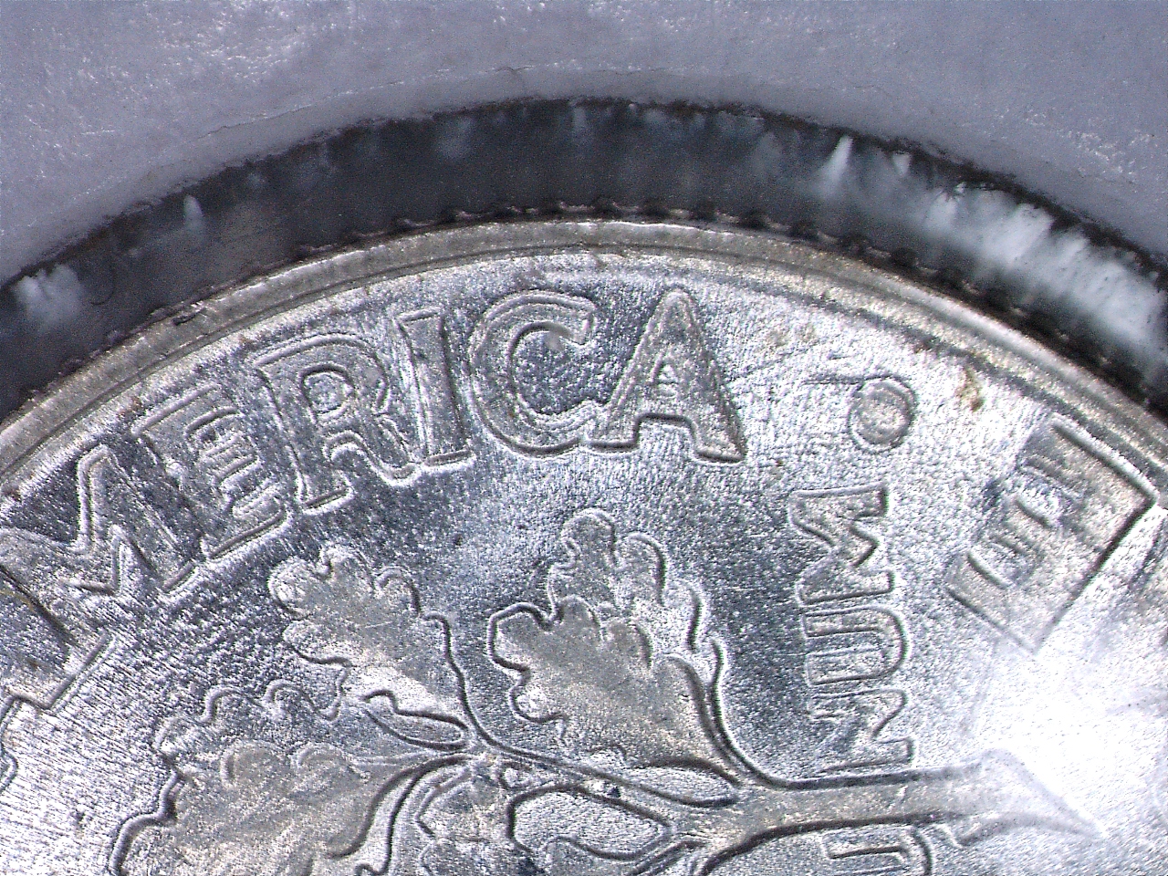 1964 attached CA.jpg