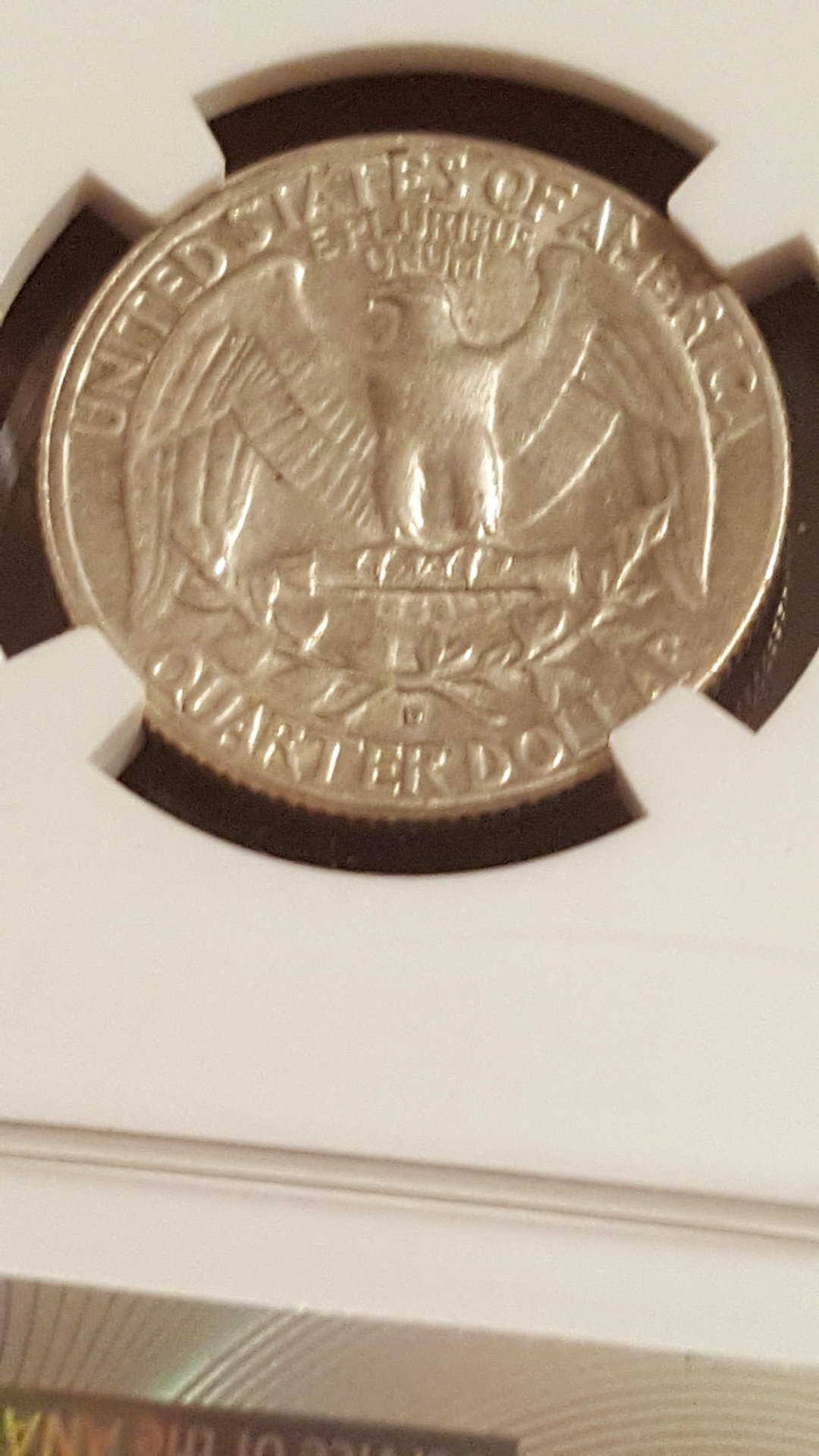 1964.D.jpg