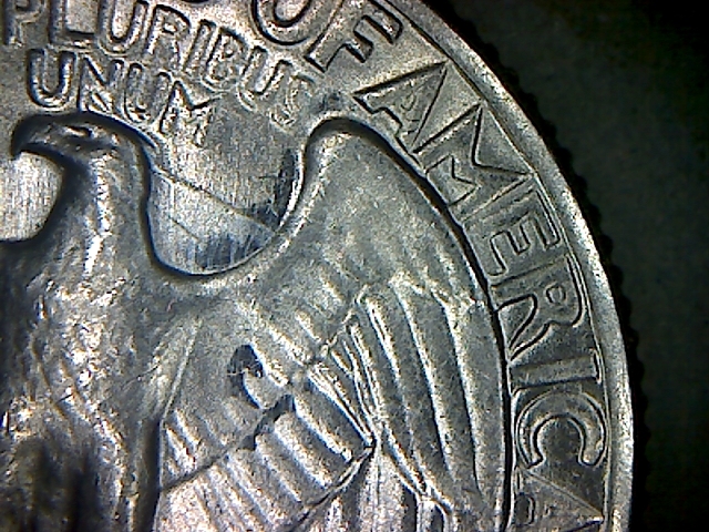 1964 D Wash at Eagle Head.jpg
