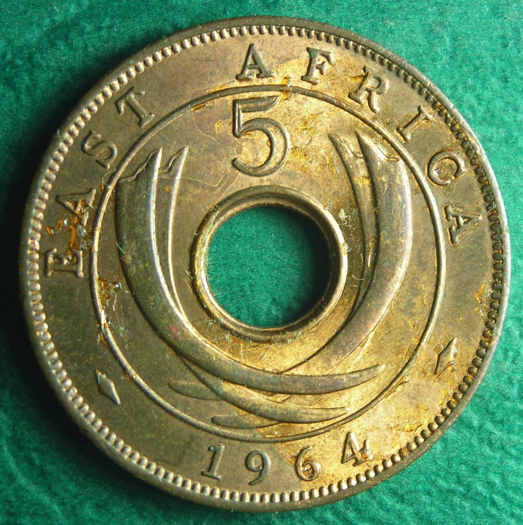 1964 EA 5 c rev.JPG