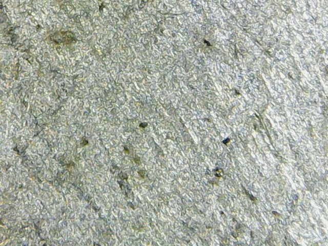 1964 Half 4.JPG