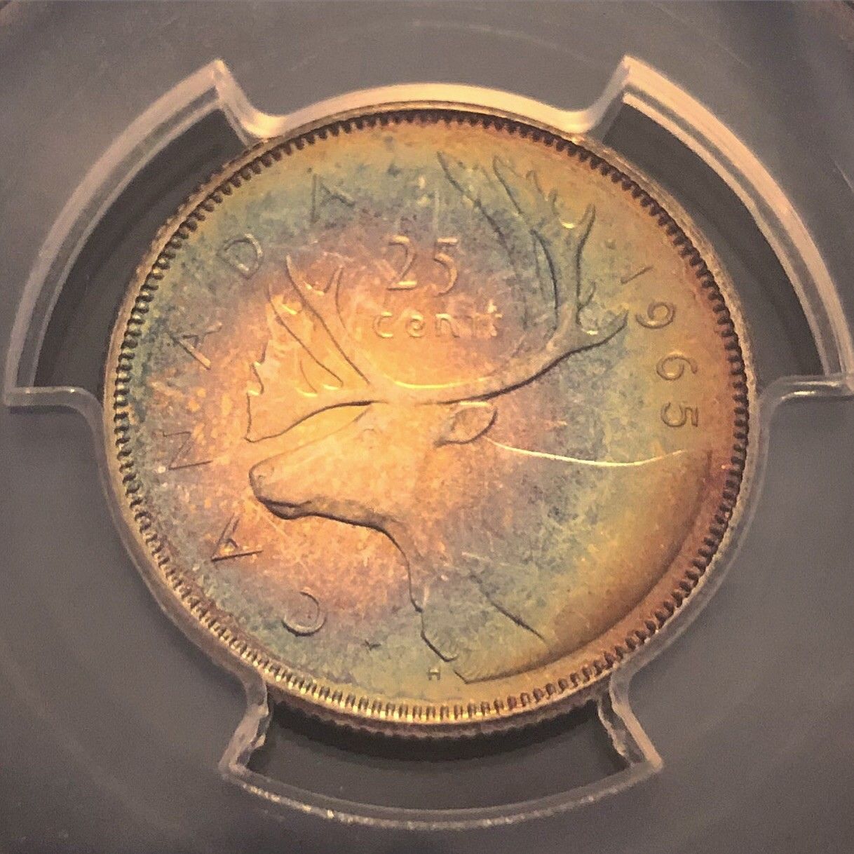 1965 C.jpg