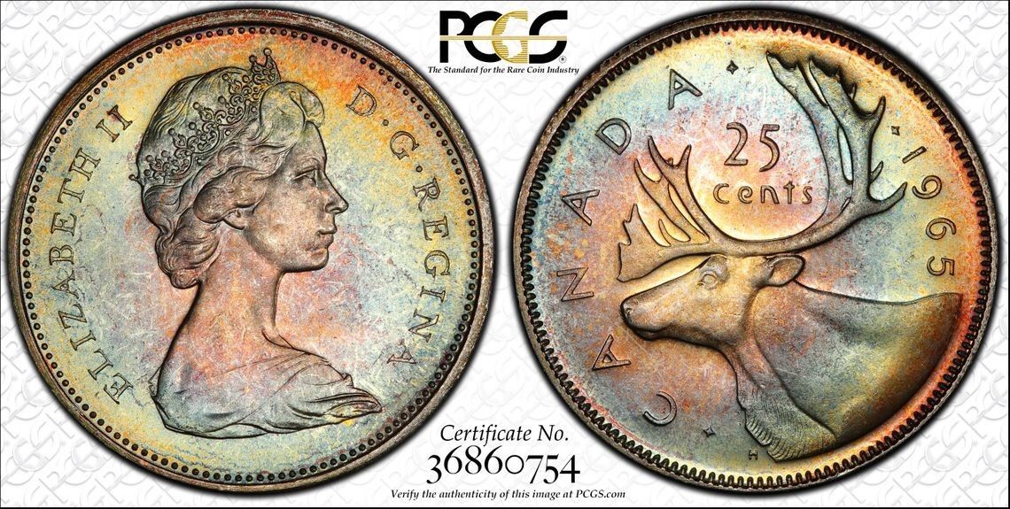 1965 D.jpg