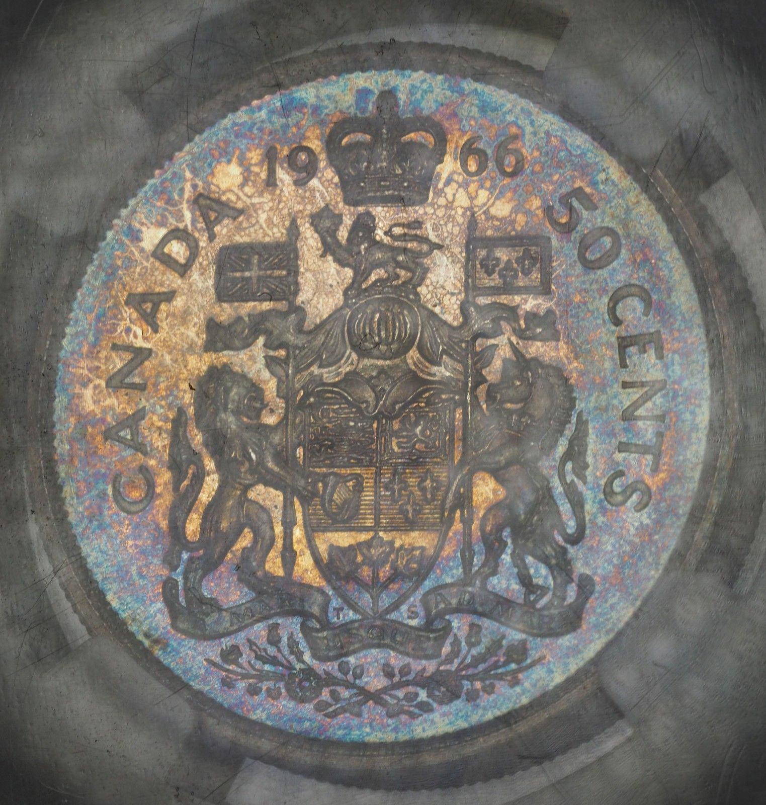 1966 C.jpg