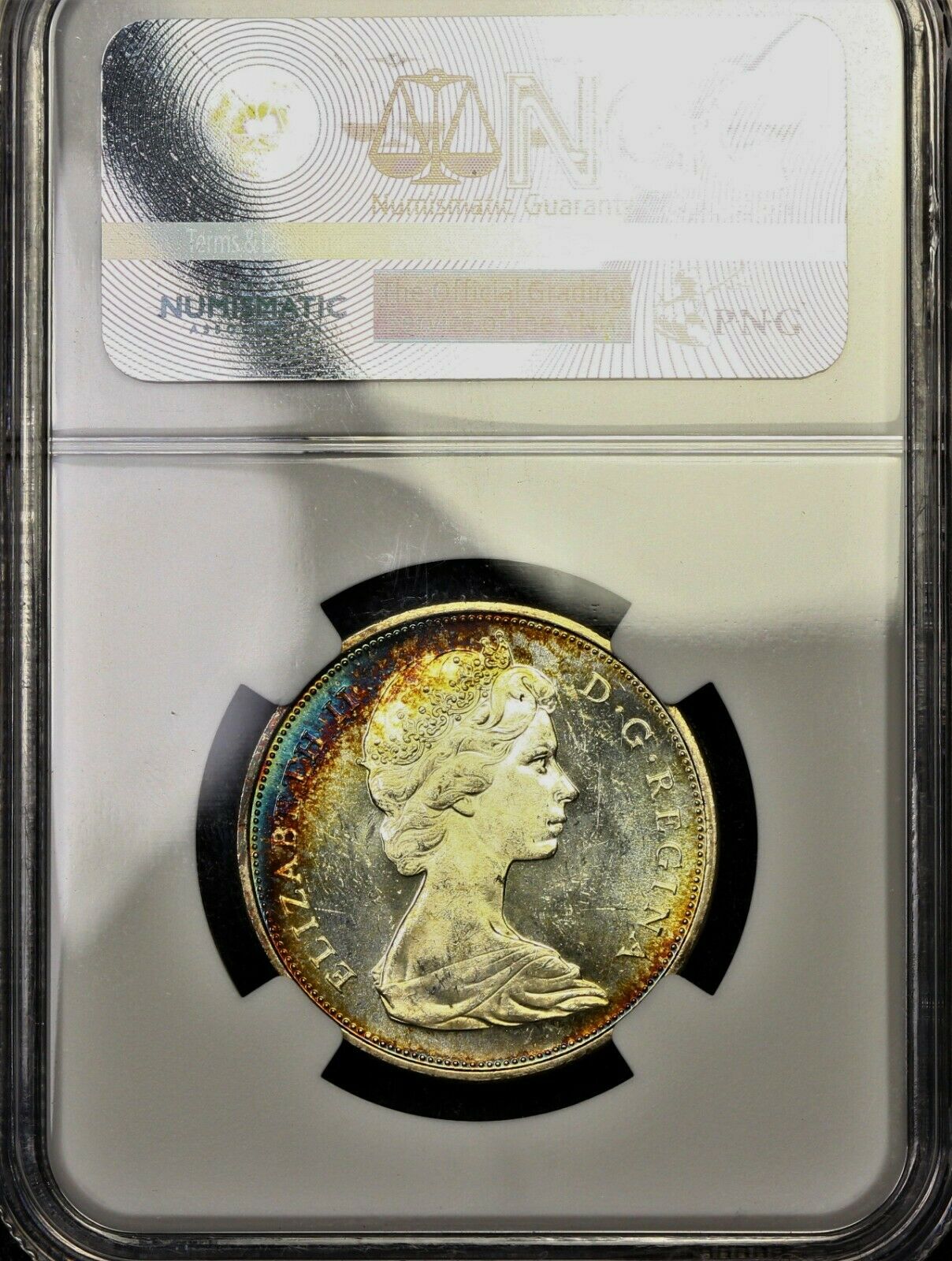 1966 D.jpg