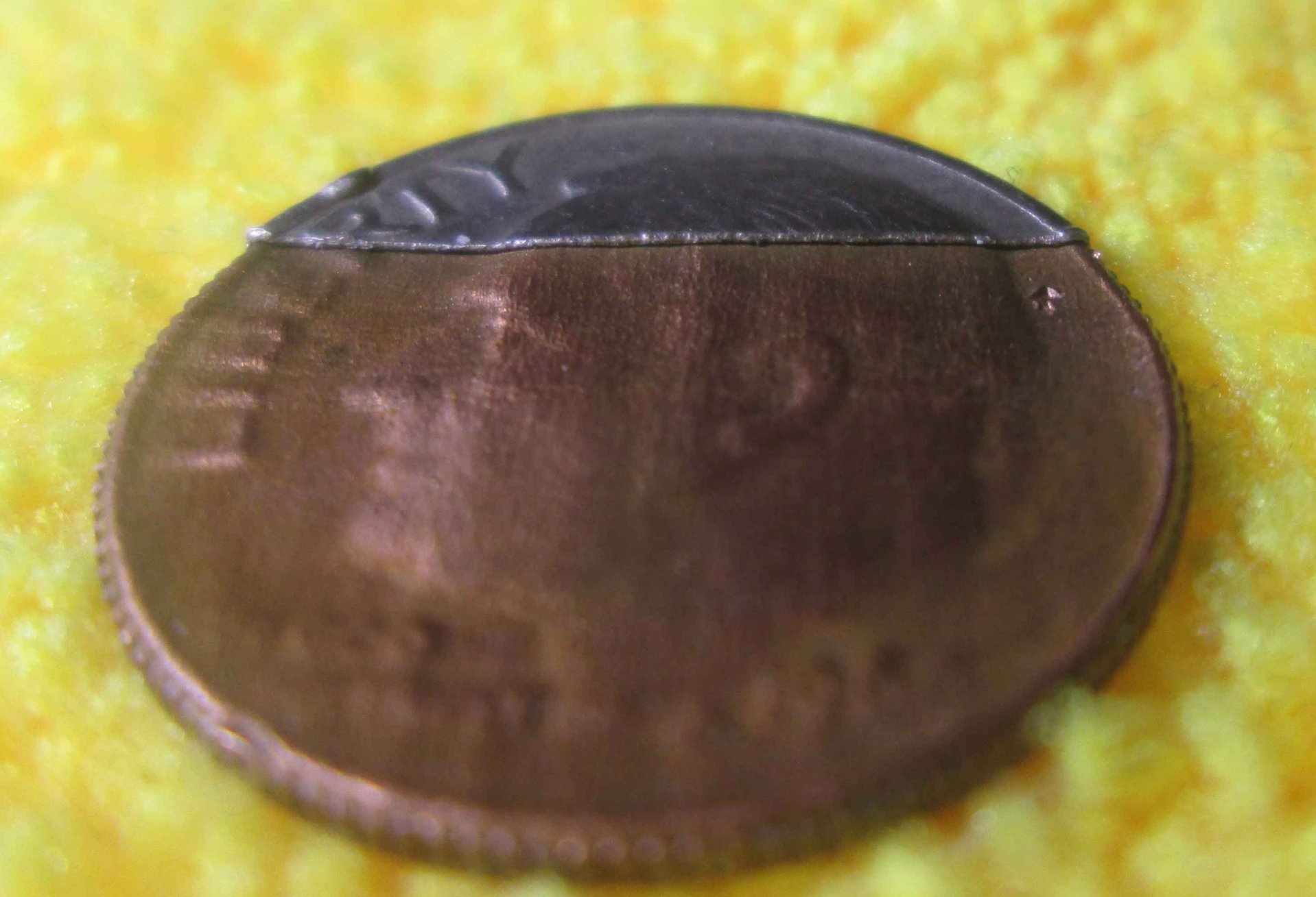 1966-msclad3.jpg