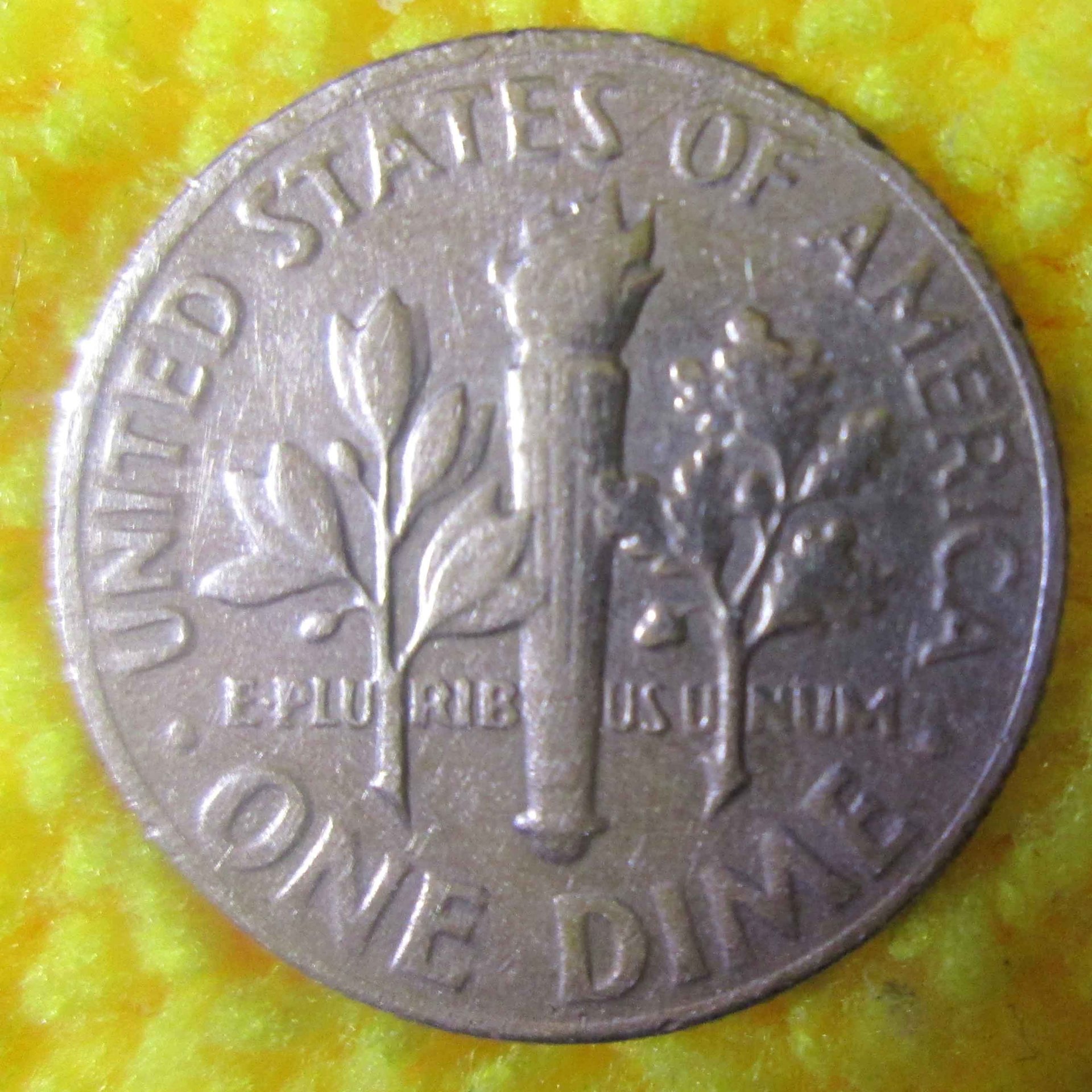 1966-msclad5.jpg
