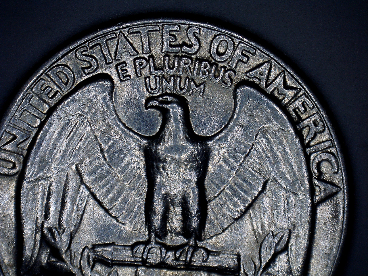 19664.jpg