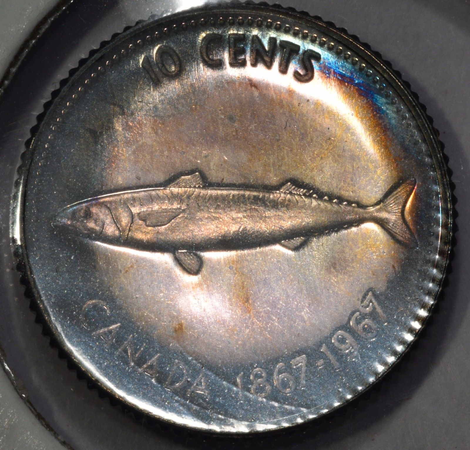 1967 B.jpg
