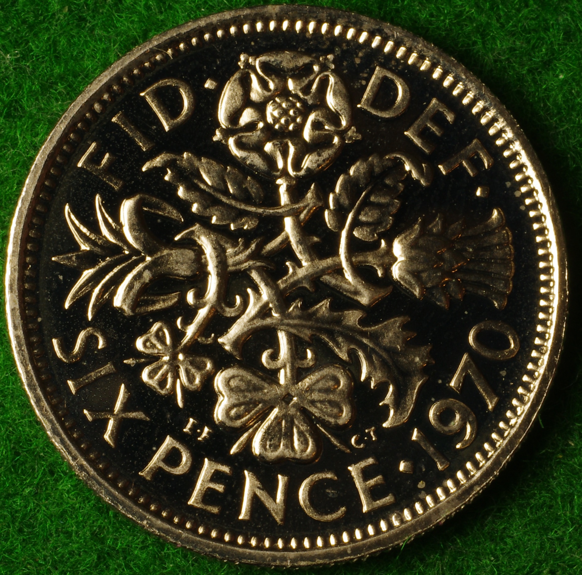 1970 6D 1.JPG