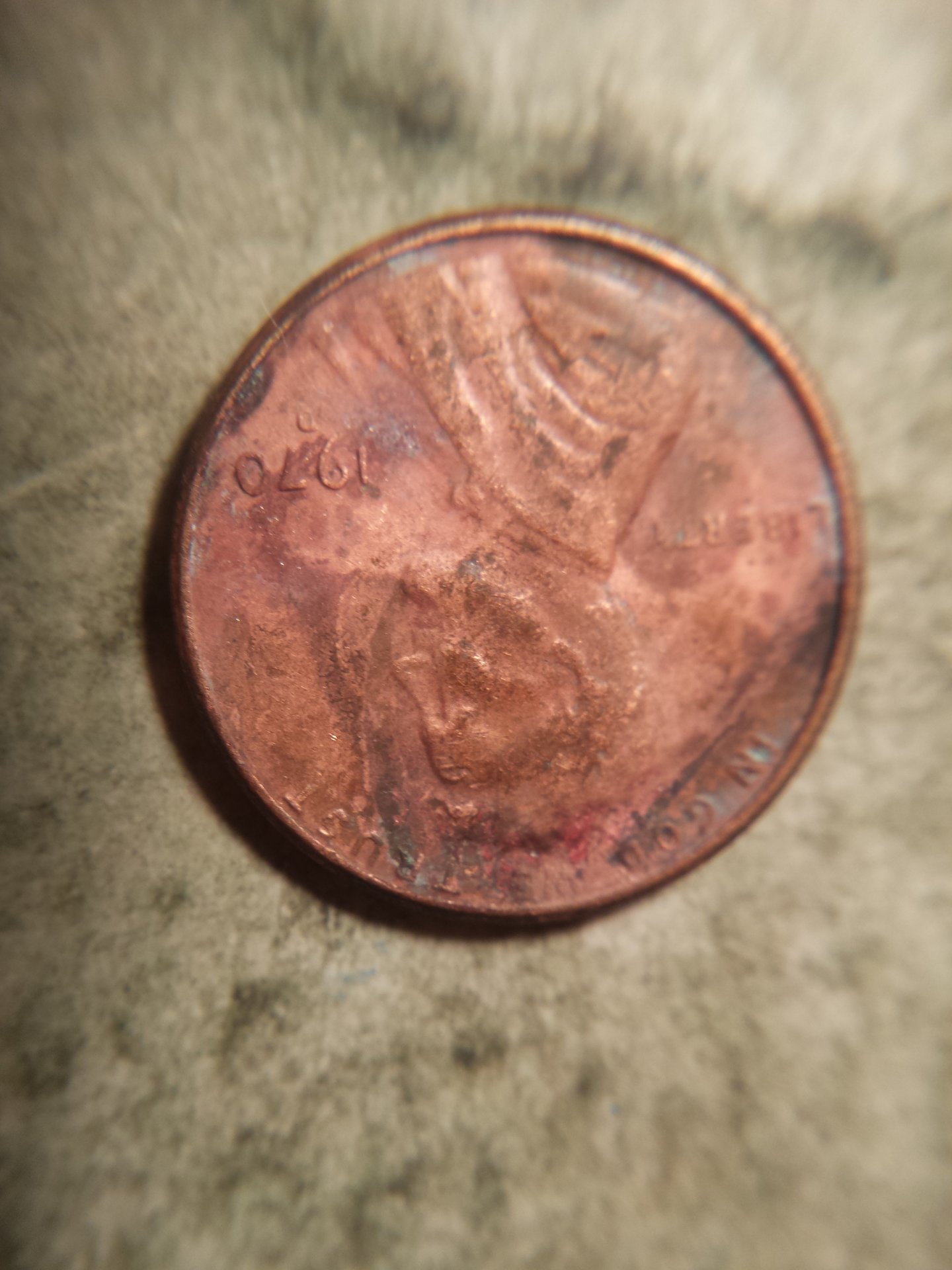 1970 D 009.jpg