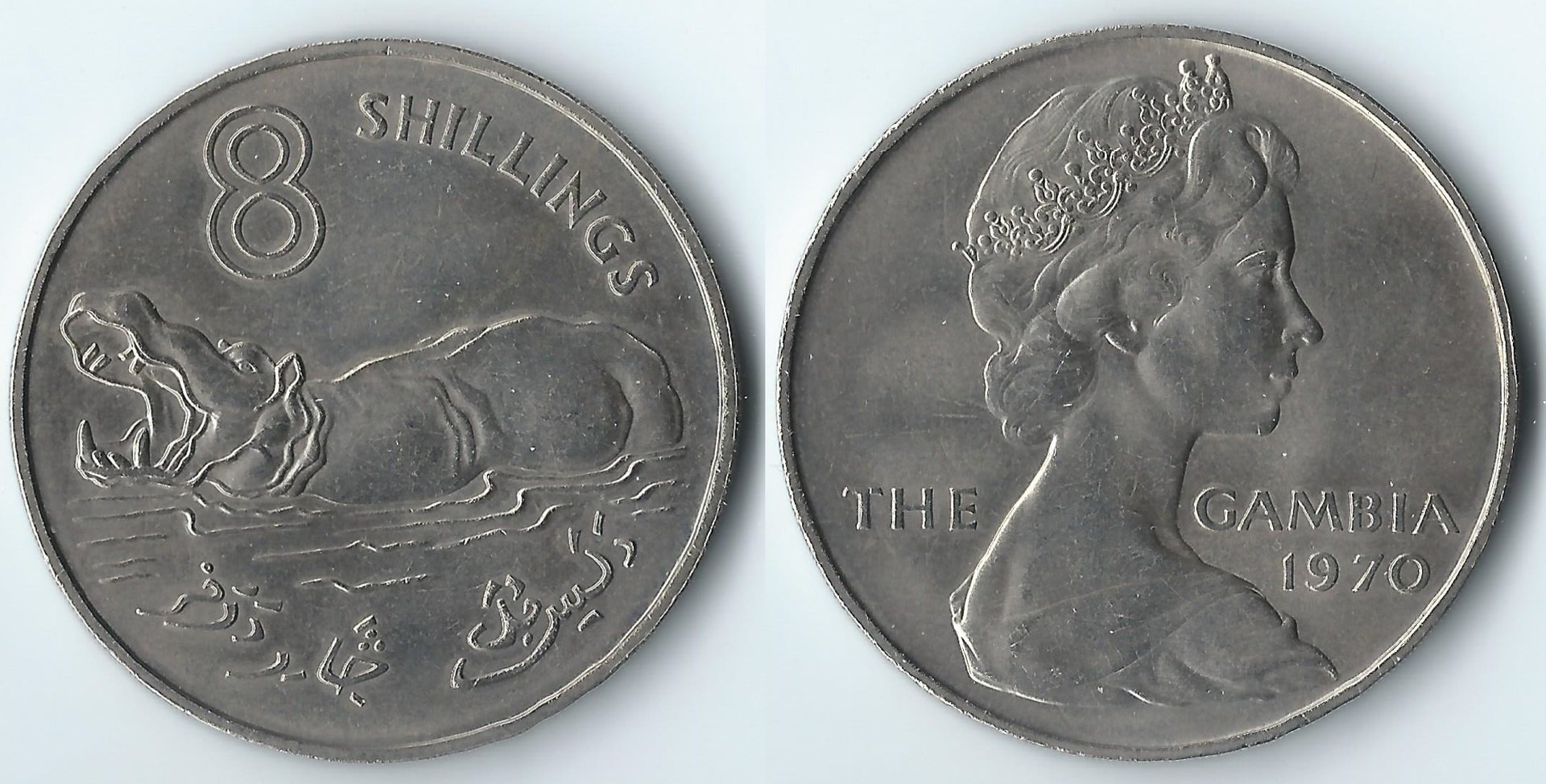 1970 gambia 8 shillings.jpg