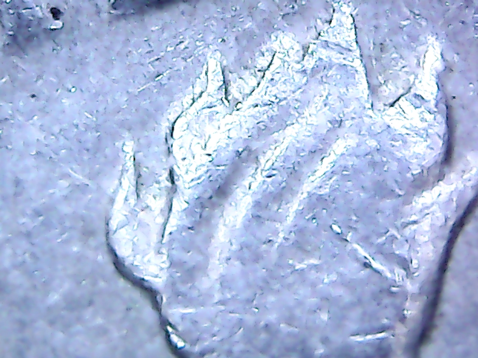 1970drevof68001.jpg