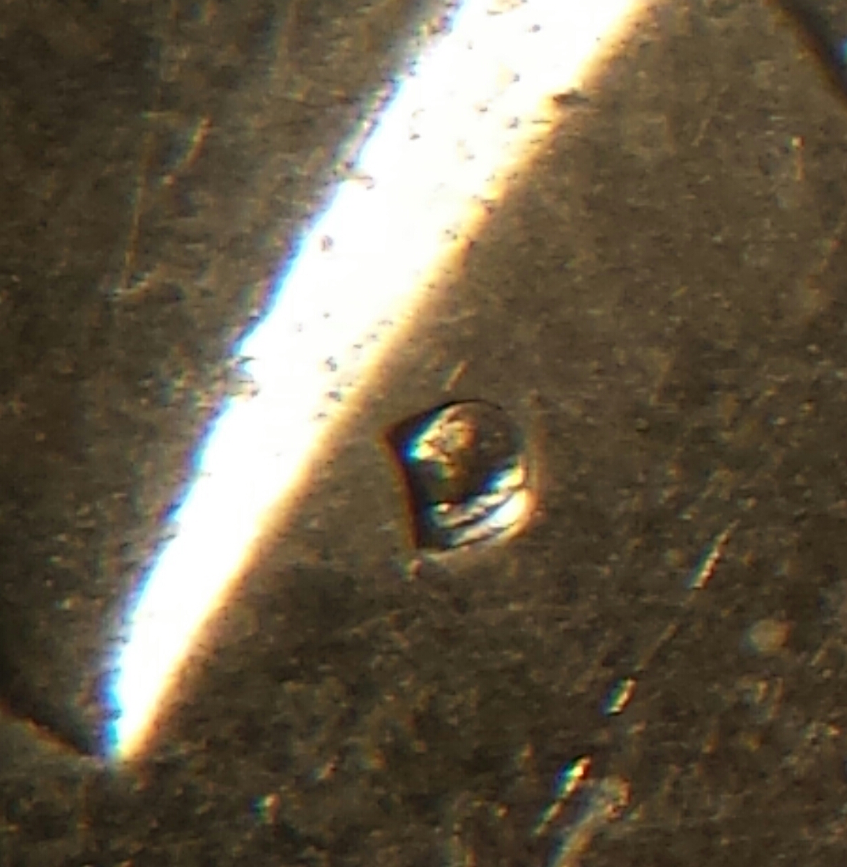 1971 D 004.jpg