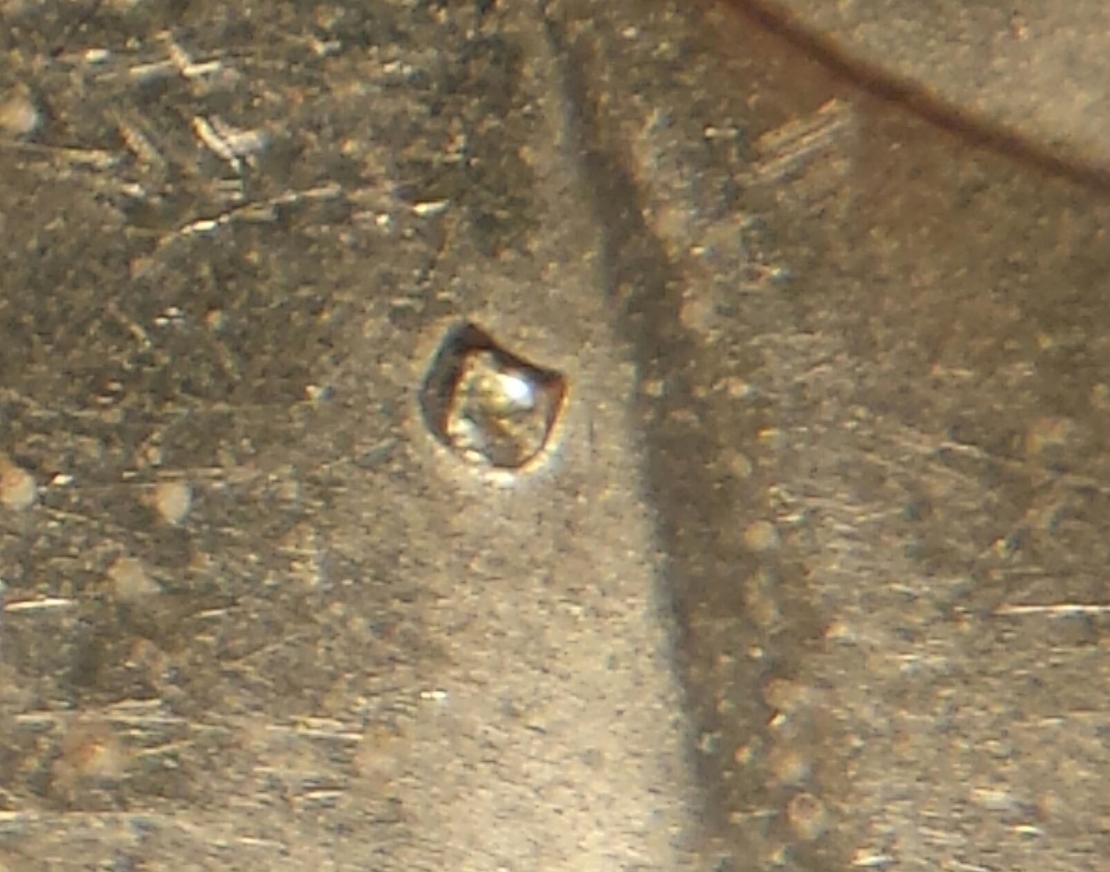 1971 D 006.jpg
