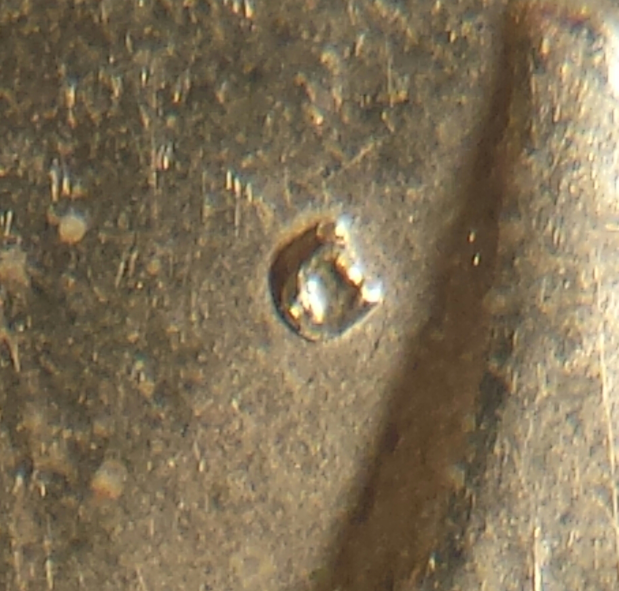 1971 D 008.jpg