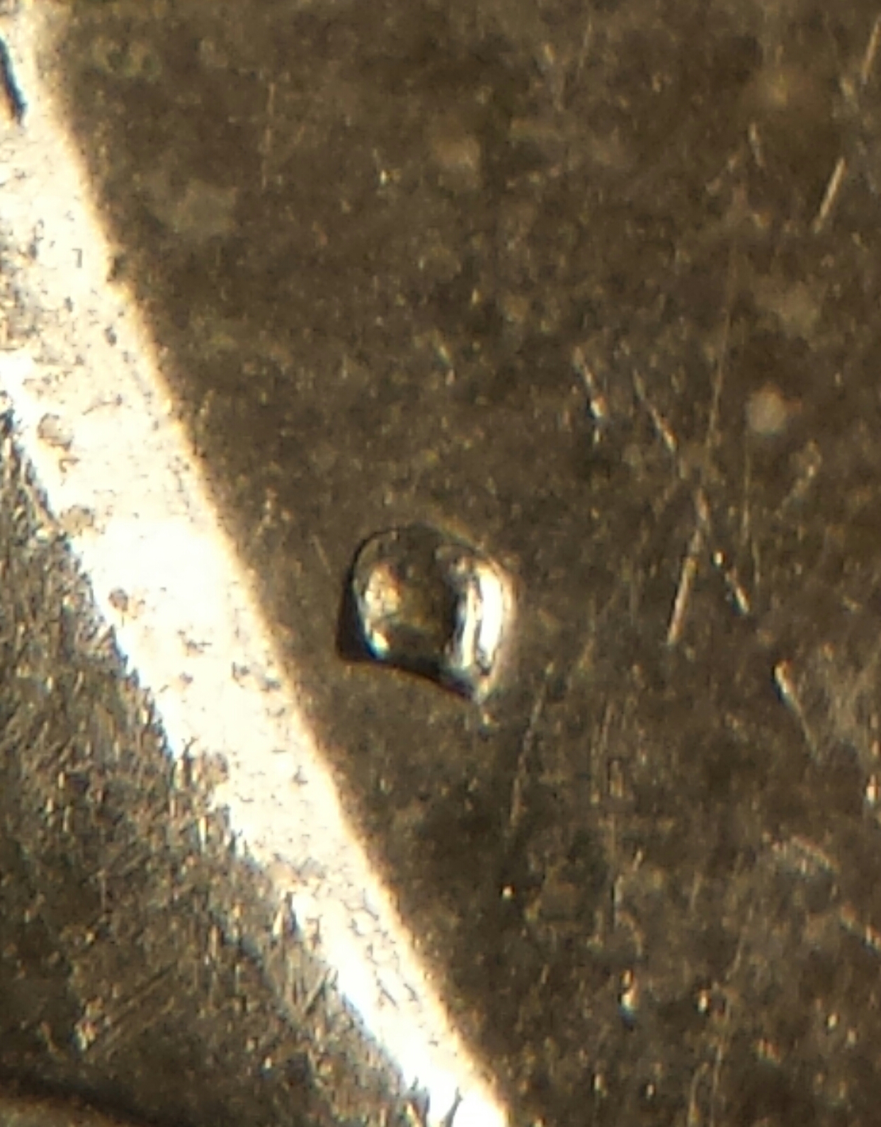 1971 D 010.jpg