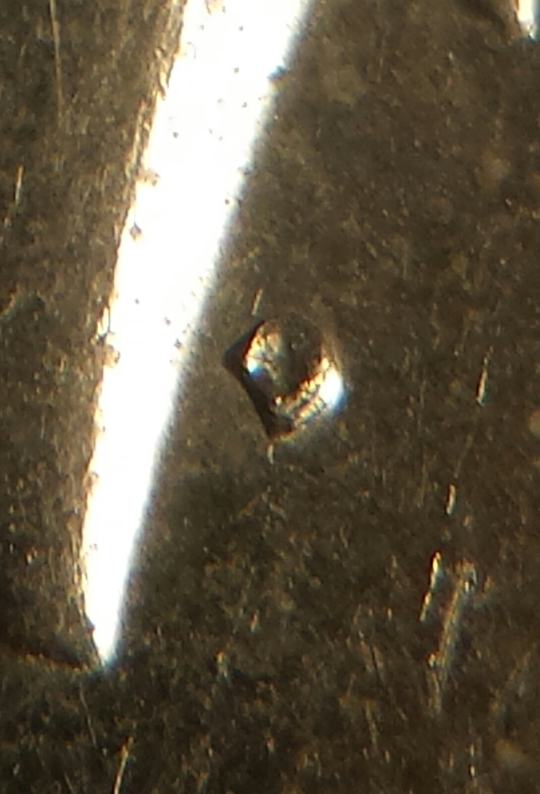 1971 D 012.jpg