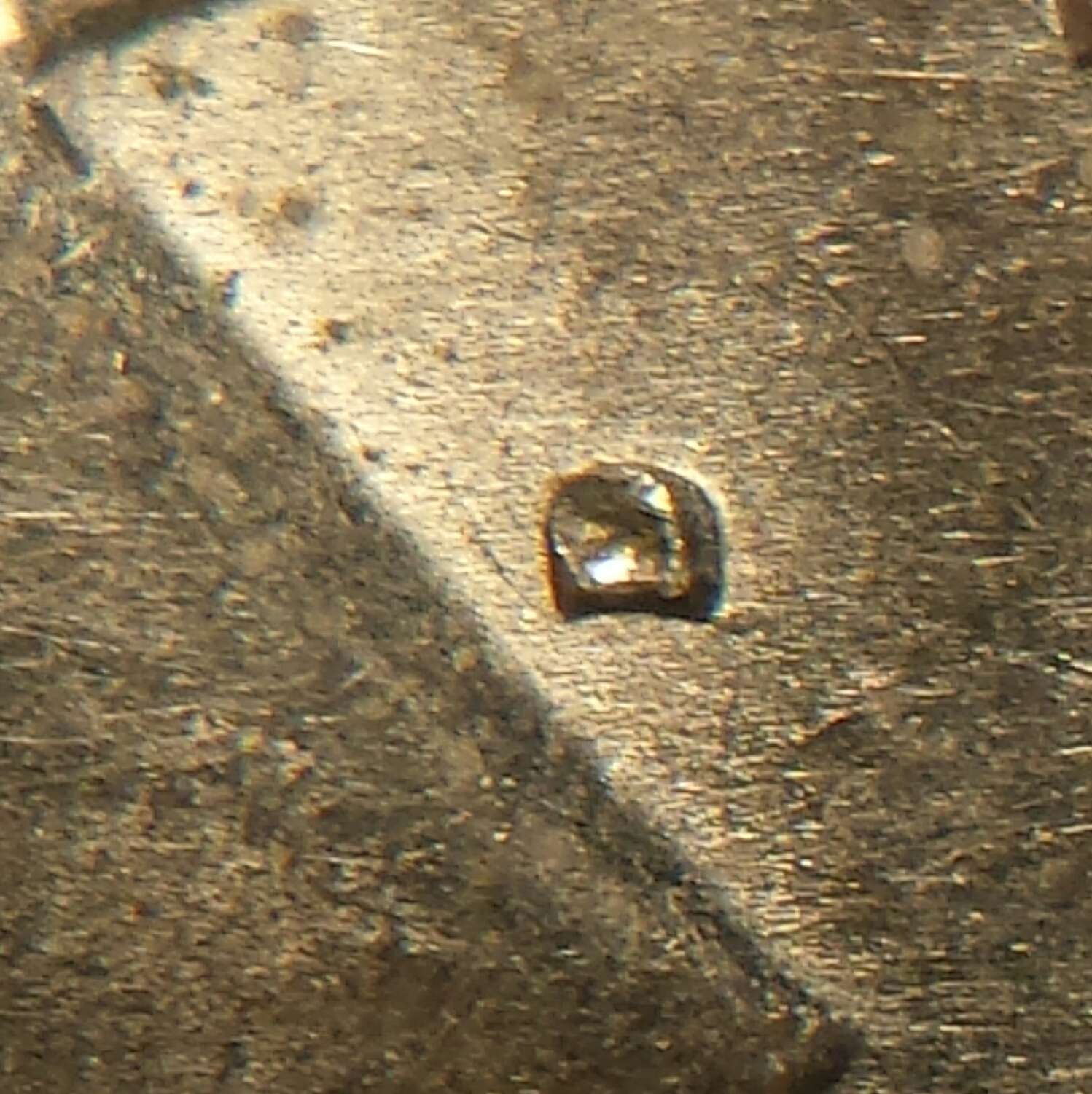 1971 D 014.jpg