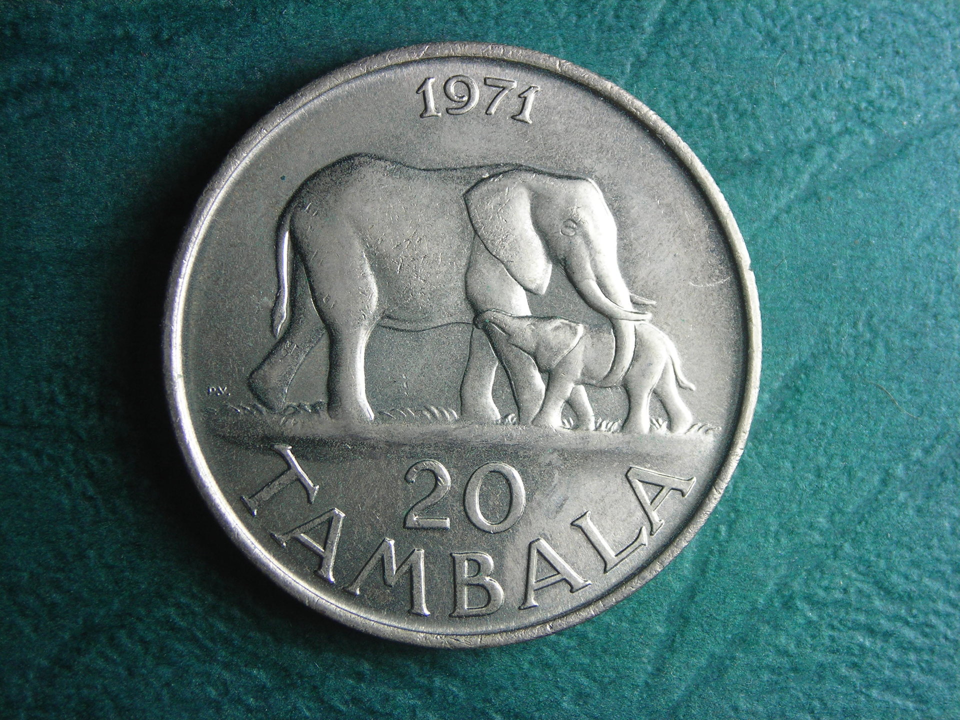 1971 Malawi 20 tambala rev.JPG
