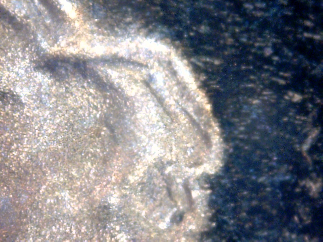 1971 S tie close up.jpg