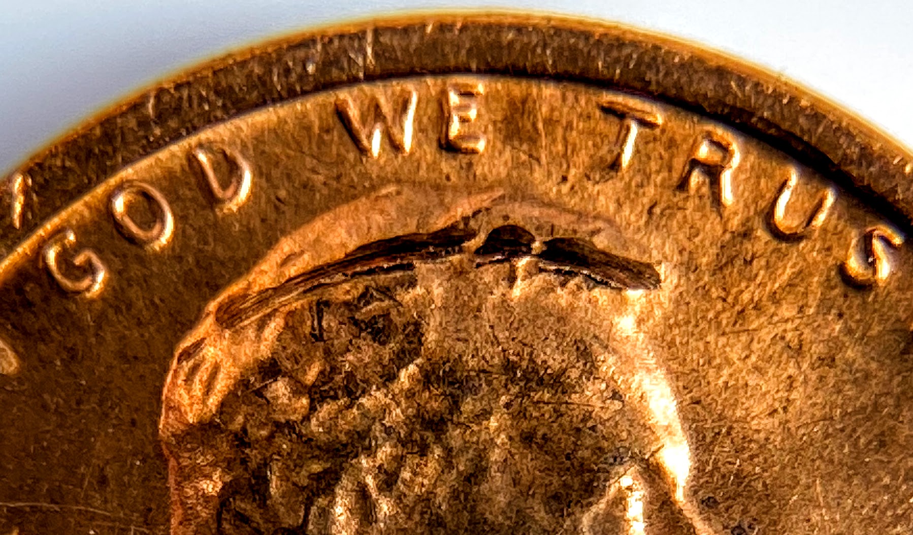 1972 cut3.jpg