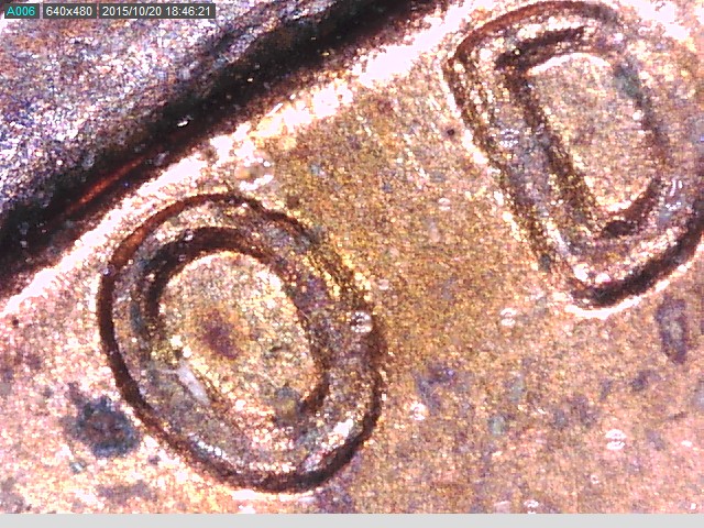 1972 dd3.jpg