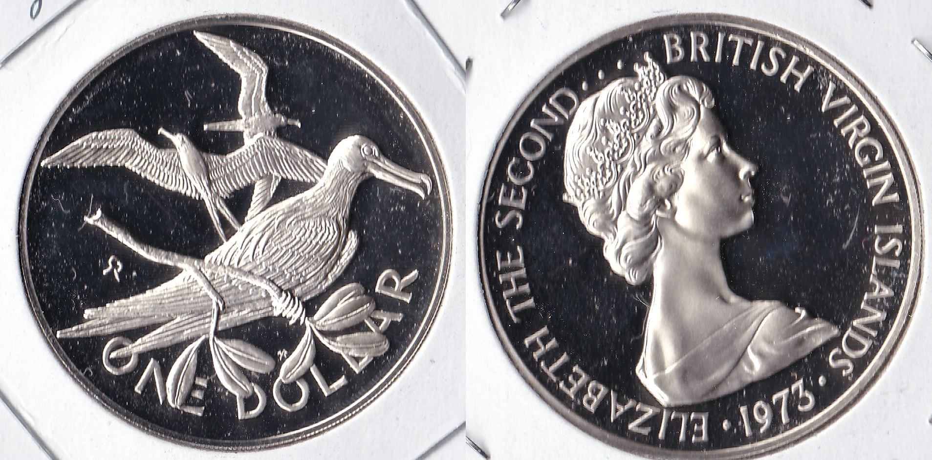 1973 virgin islands 1 dollar.jpg