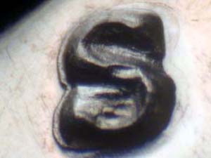 1973SRPM001bh.jpg