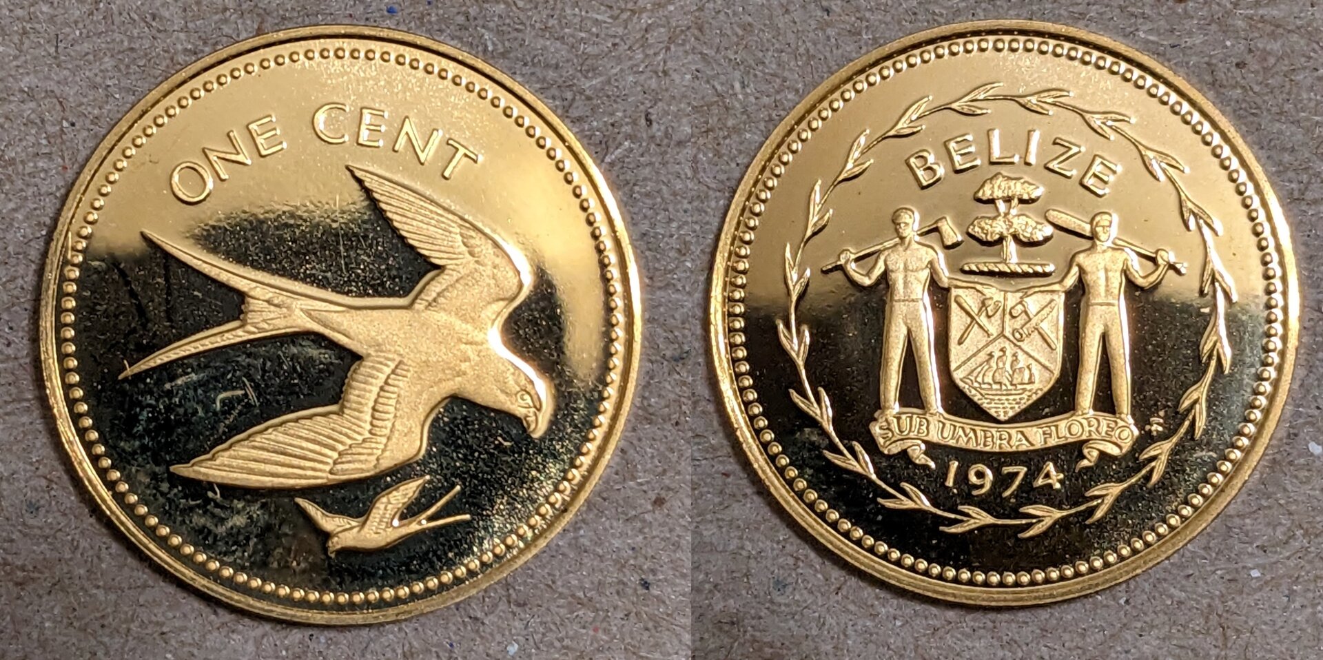 1974 belize 1 cent bronze.jpg