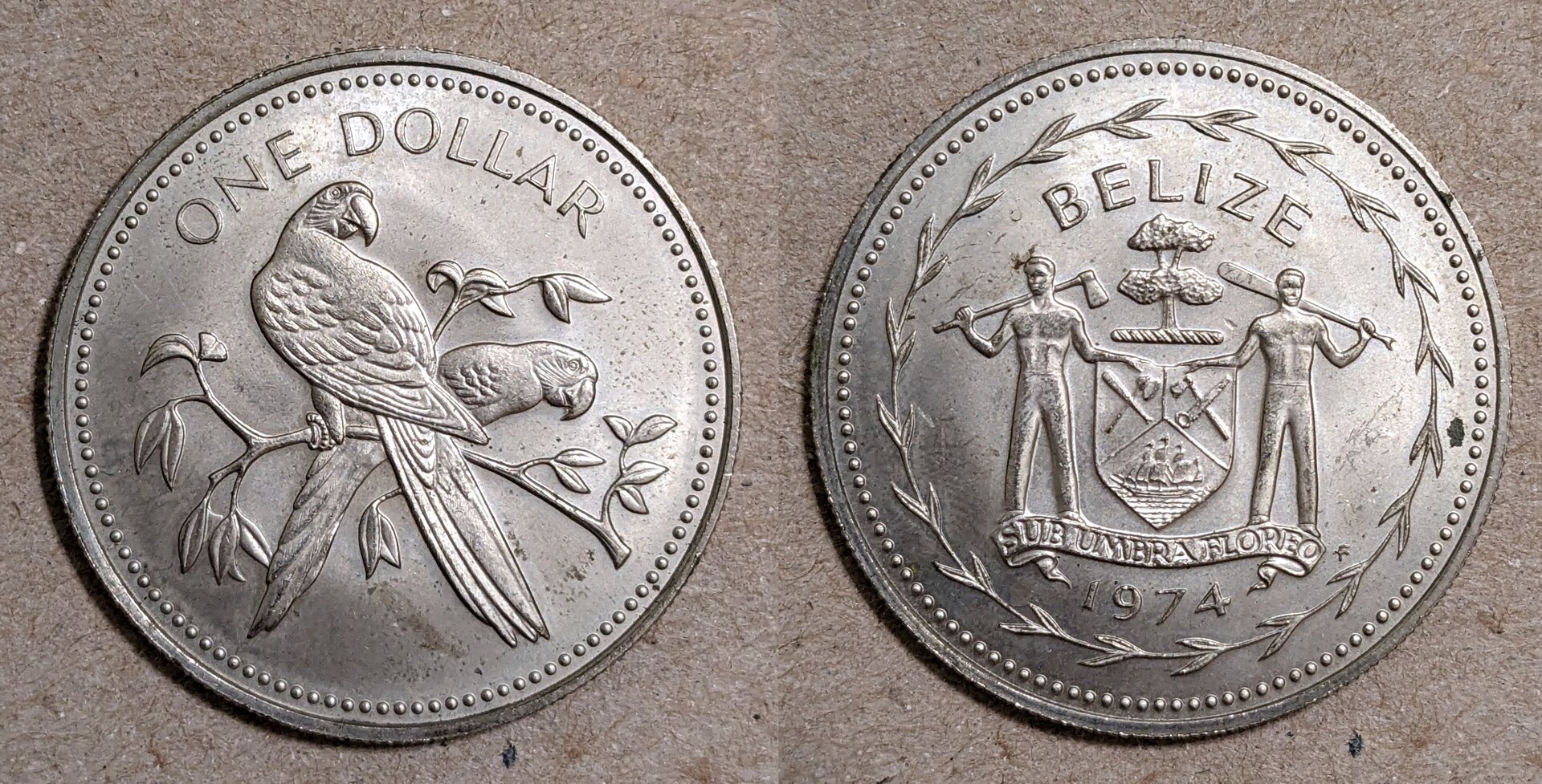 1974 belize 1 dollar.jpg