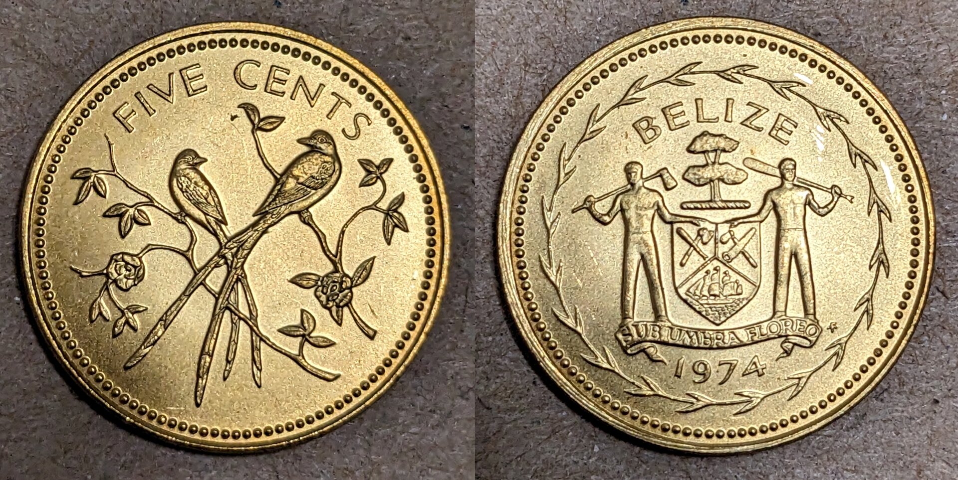 1974 belize 5 cents birds.jpg