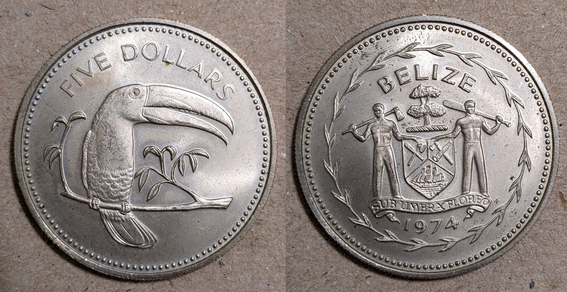 1974 belize 5 dollars.jpg