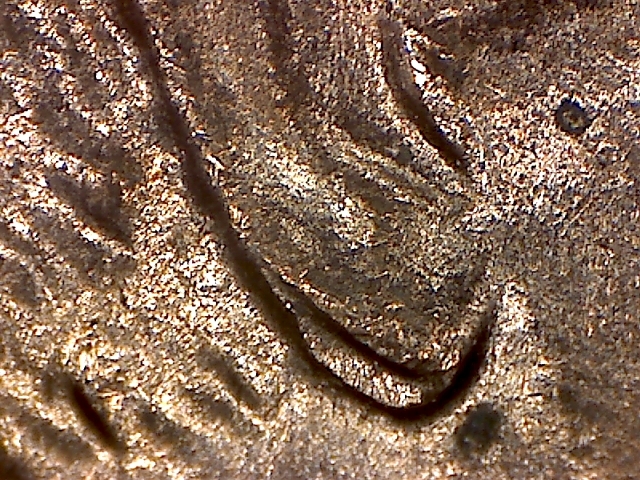 1974-d ear.jpg