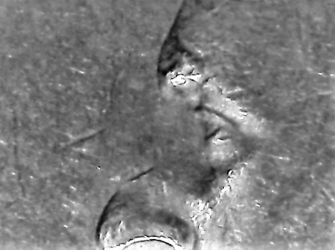 1974 D No nose.jpg