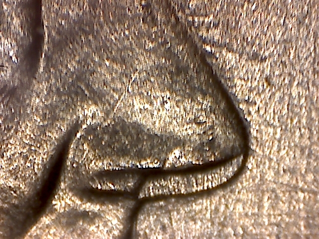 1974-d nose.jpg