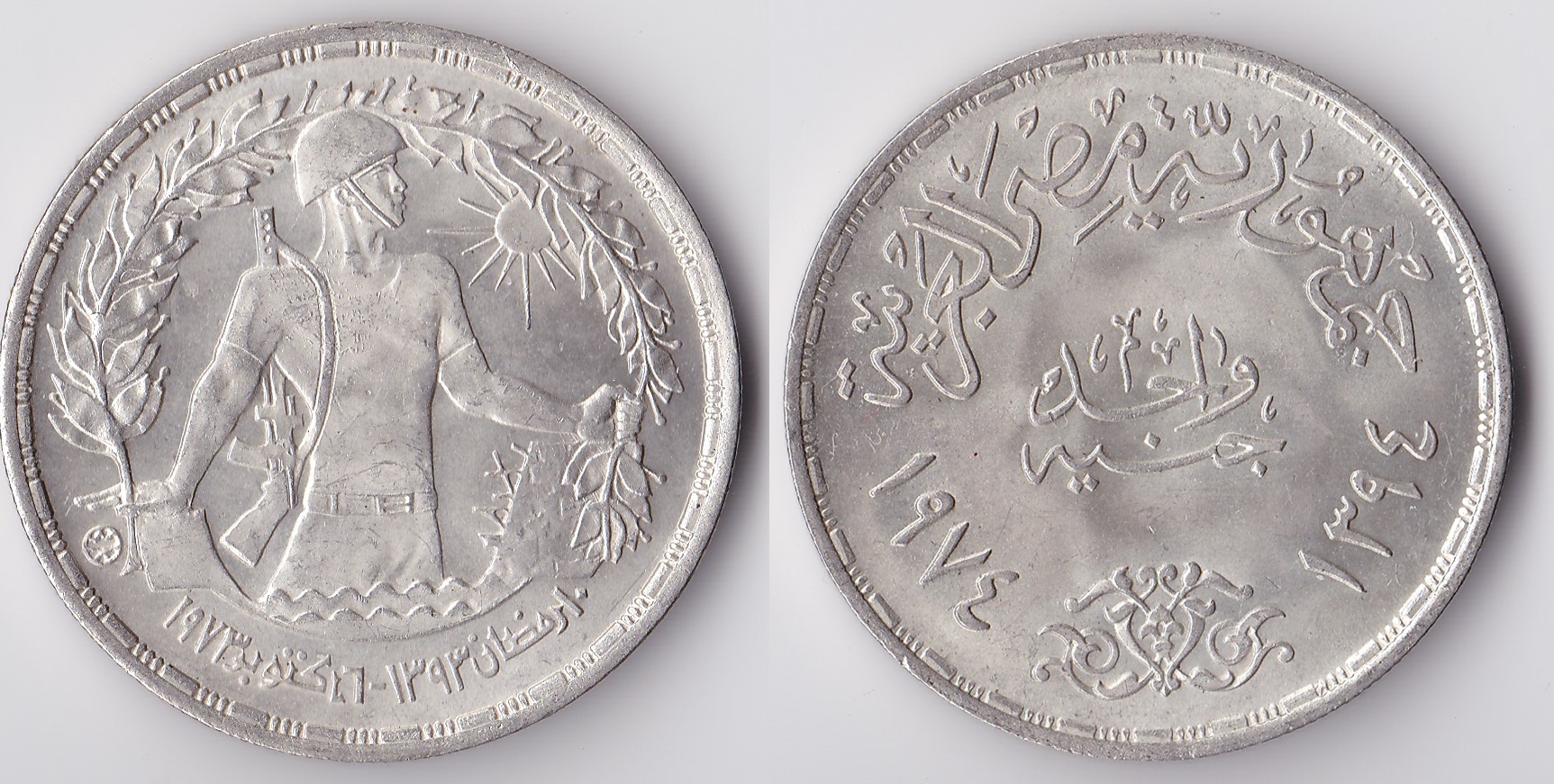 1974 egypt 1 pound.jpg