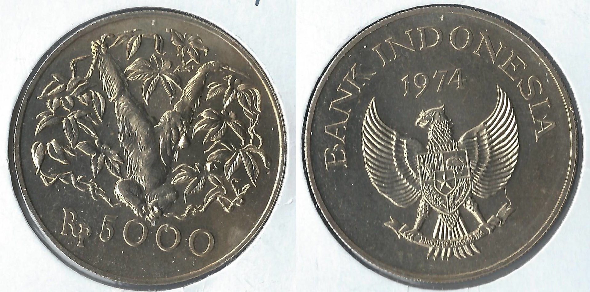 1974 indonesia 5000 rupiah.jpg