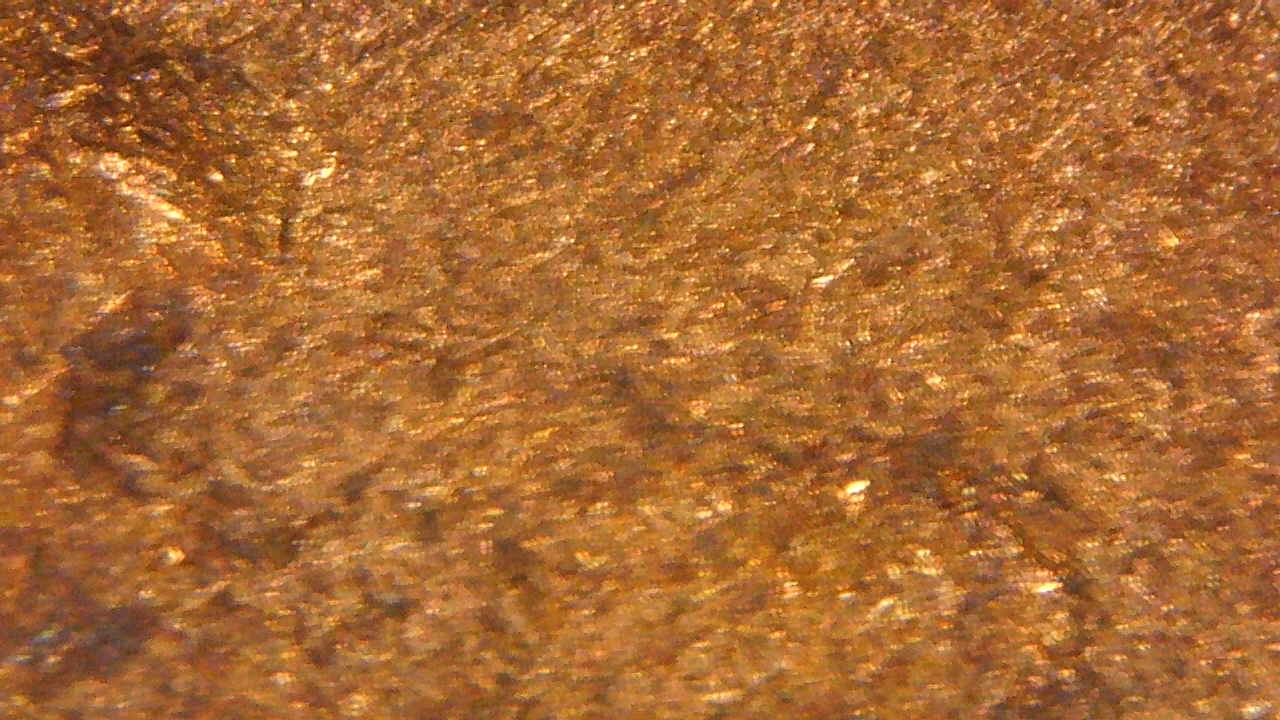 1975 D Bumps #11.jpg